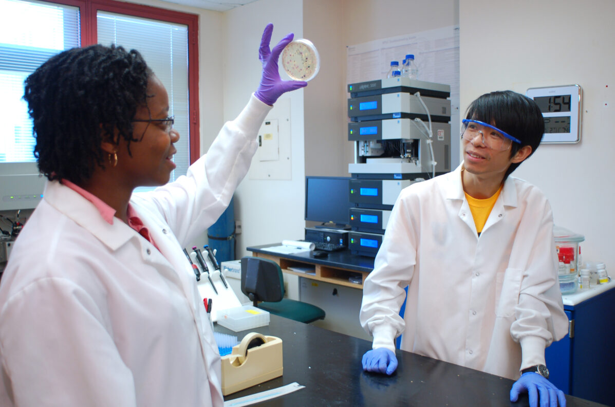 Hollie Adejumo (left) and Ke He (right) measure antibiotic-resistant bacteria in Maryland wastewater